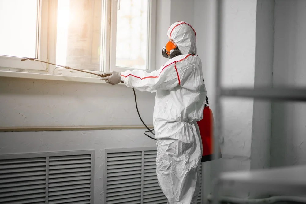 Professional mold remediation services in Comanche, OK